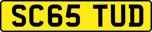 SC65TUD