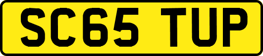 SC65TUP