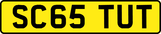 SC65TUT