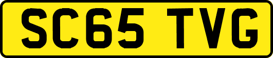 SC65TVG