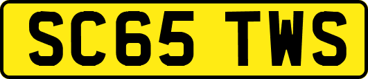 SC65TWS