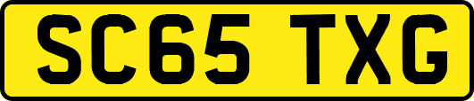 SC65TXG