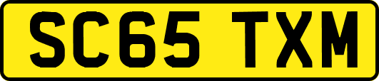 SC65TXM