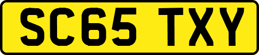 SC65TXY