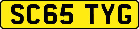 SC65TYG