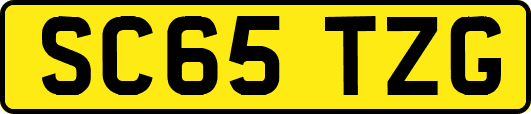 SC65TZG