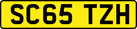 SC65TZH