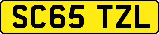 SC65TZL