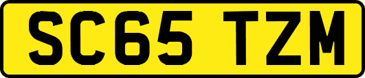 SC65TZM