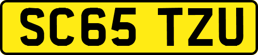 SC65TZU