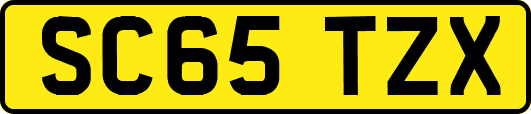 SC65TZX