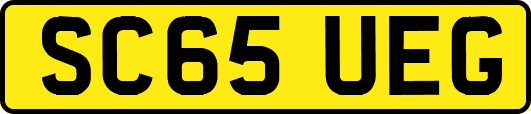 SC65UEG