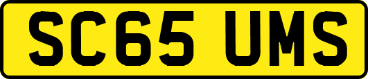 SC65UMS