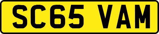 SC65VAM
