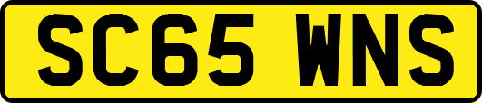 SC65WNS