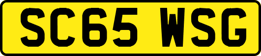 SC65WSG