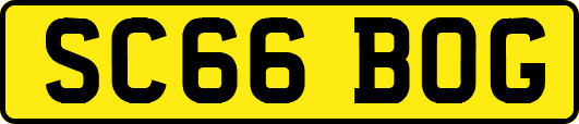 SC66BOG