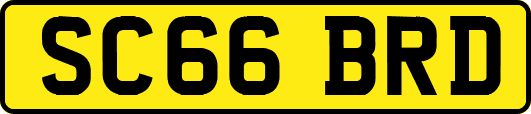 SC66BRD