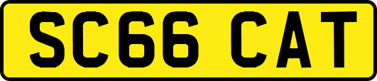 SC66CAT