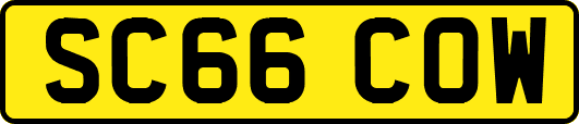 SC66COW
