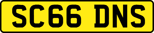 SC66DNS