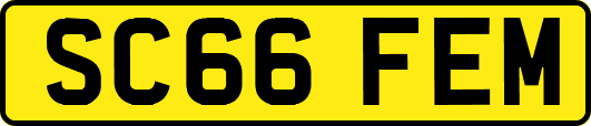 SC66FEM