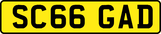 SC66GAD