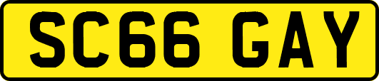SC66GAY