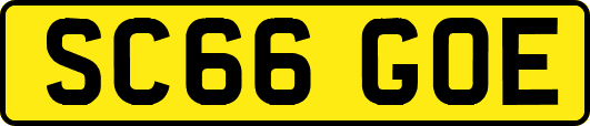SC66GOE