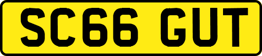 SC66GUT
