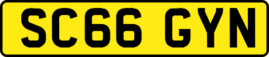 SC66GYN