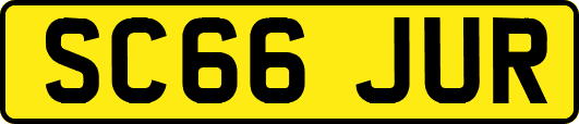 SC66JUR