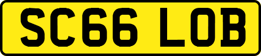 SC66LOB