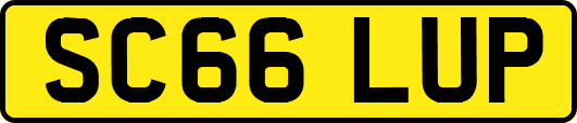 SC66LUP