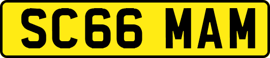 SC66MAM