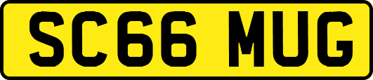 SC66MUG