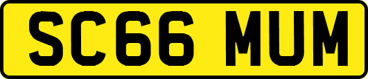 SC66MUM