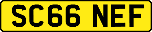 SC66NEF