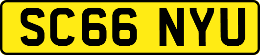 SC66NYU