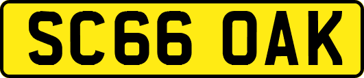 SC66OAK