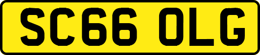 SC66OLG
