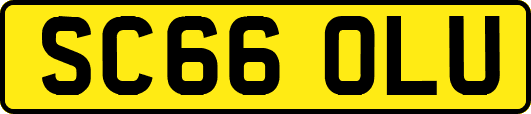 SC66OLU