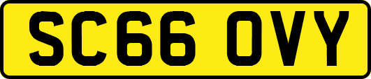 SC66OVY