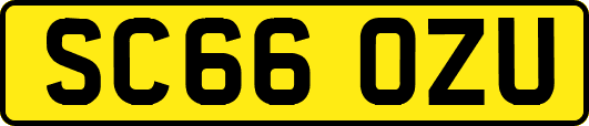 SC66OZU