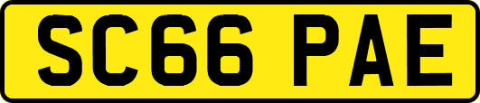 SC66PAE
