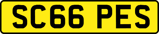 SC66PES