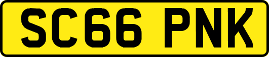 SC66PNK