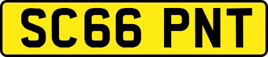 SC66PNT
