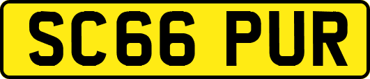 SC66PUR
