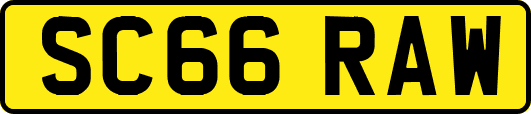 SC66RAW